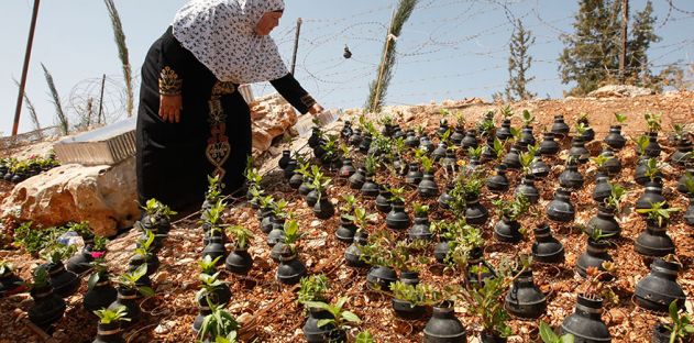 فلسطينية تزرع الورود في قنابل الغاز المسيلة للدموع
